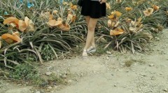 ձ䡸աϹϹӽ Ůѳи